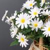 Small Fresh Daisy Artificial Flower Arrangement With Silk Material For Living Room Decor And Photo Shoots
