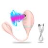 Clitoral Sucking Vibrator With Vibrating Egg 2 in 1 G-Spot Clitoris Stimulator Nipples Clit Sucker Sex Toys For Women Adults 18