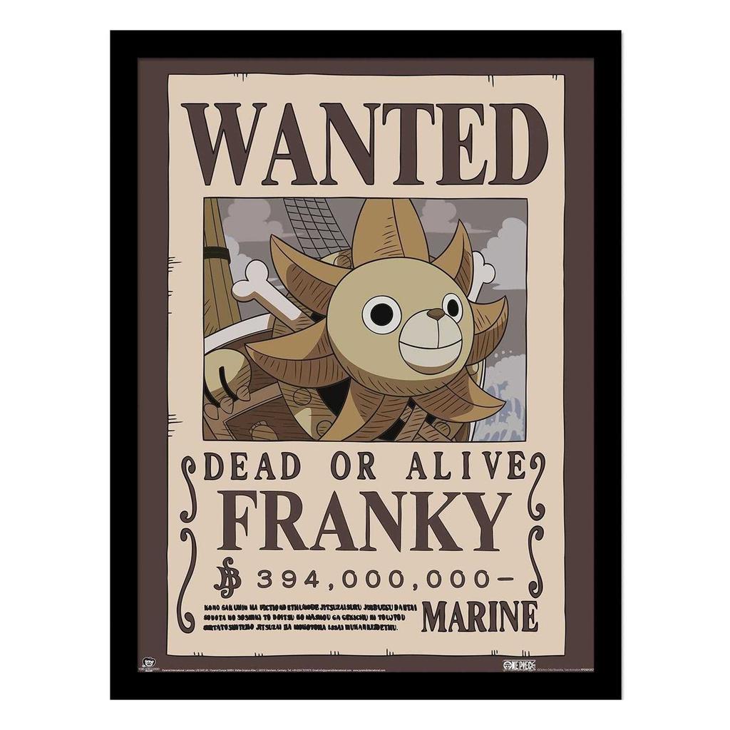 One Piece Wanted Franky Framed Poster