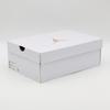 FJ3453-200 Nike Air Jordan 1 Low SE Legend Medium Brown Sail Legend (Женский)