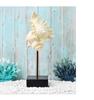 Ocean-Themed Mediterranean Decorations: Starfish, Seahorse, and Conch for Living Room or Restaurant