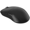 Endgame Gear XM2we Wireless Gaming Black Mouse, (EGG-XM2WE-BLK)