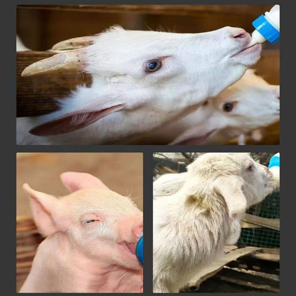 6-ти ниппельная подвесная кормушка-бутылка для ягнят, телят, поросят, прочный инструмент для кормления нескольких животных, оборудование для поения на ферме