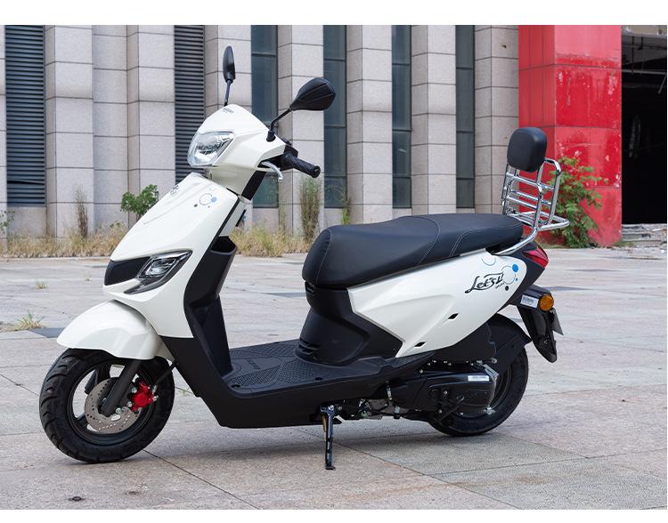Улучшенная задняя багажная полка Suzuki Little Dolphin QS110T-3 для скутера/мотоцикла