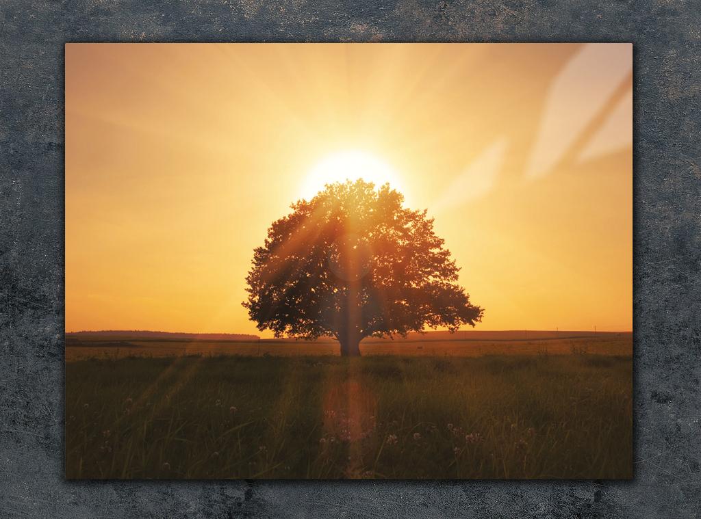 SZKLANA DESKA DO KROJENIA 40x30 DRZEWO