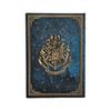 Paperblanks PBD6521 Hogwarts Legends Hardcover Ruled Notebook, Midi, 13 x 18 cm