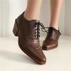 Women's High-heeled Single Shoes Spring and Autumn Thick Heel British Style Lace-up Large Size Low-top Shoes