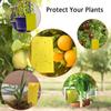 20-Pack Dual-Sided Yellow Sticky Traps Flying Plant Insect Such As Fungus Gnats