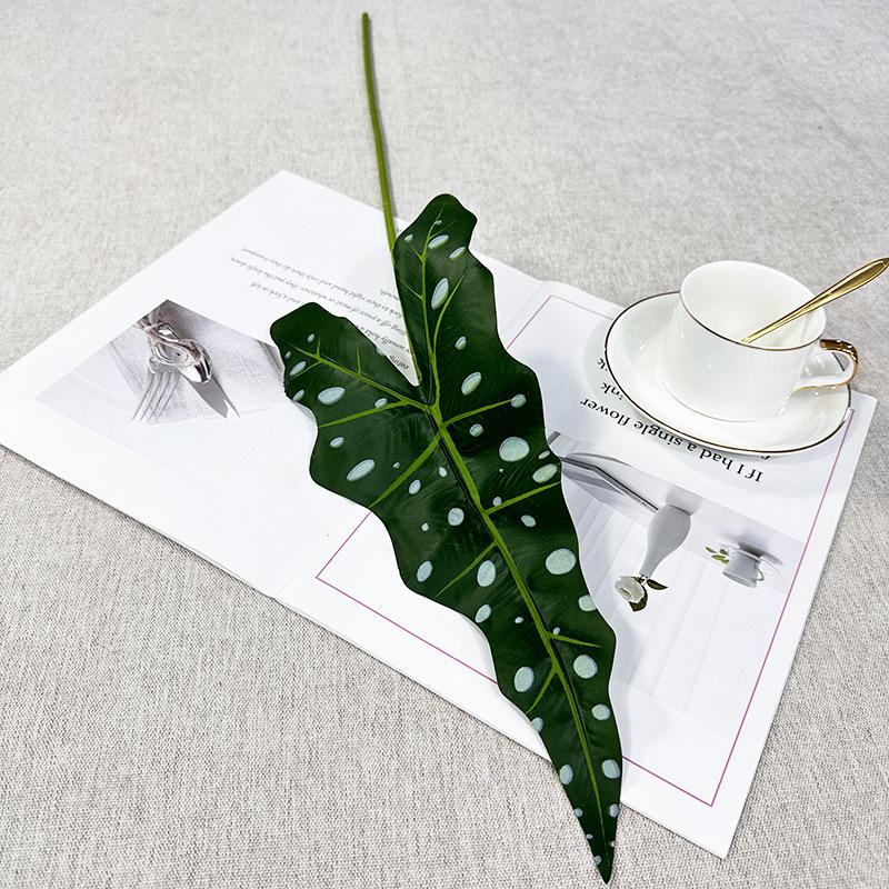 DIY Floral Design: Alocasia, Begonia, Caladium Leaves for Wedding Aisle & Plant Wall