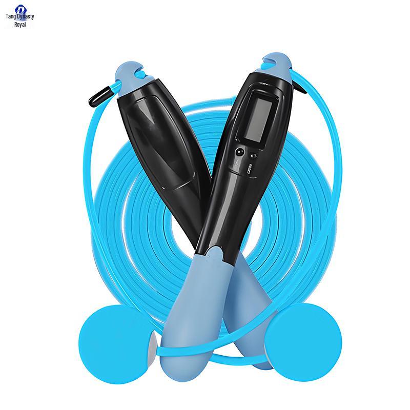 Datangyu Smart Weighted Counting Jump Rope