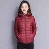 Cotton Padded Women Short Coat Winter New Female Students Loose Korean Version Fresh