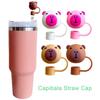 Cup Accessories Drinking Dust Cap Dust-proof Straw Tips Cover Silicone Straw Plug  Water Glass