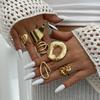 Fashion Irregular Circle Metal Ring Ins Personality Senior Sense Zinc Alloy Snake Hand Ring Ring Daily Commuting Glossy Light Luxury Women's Ring