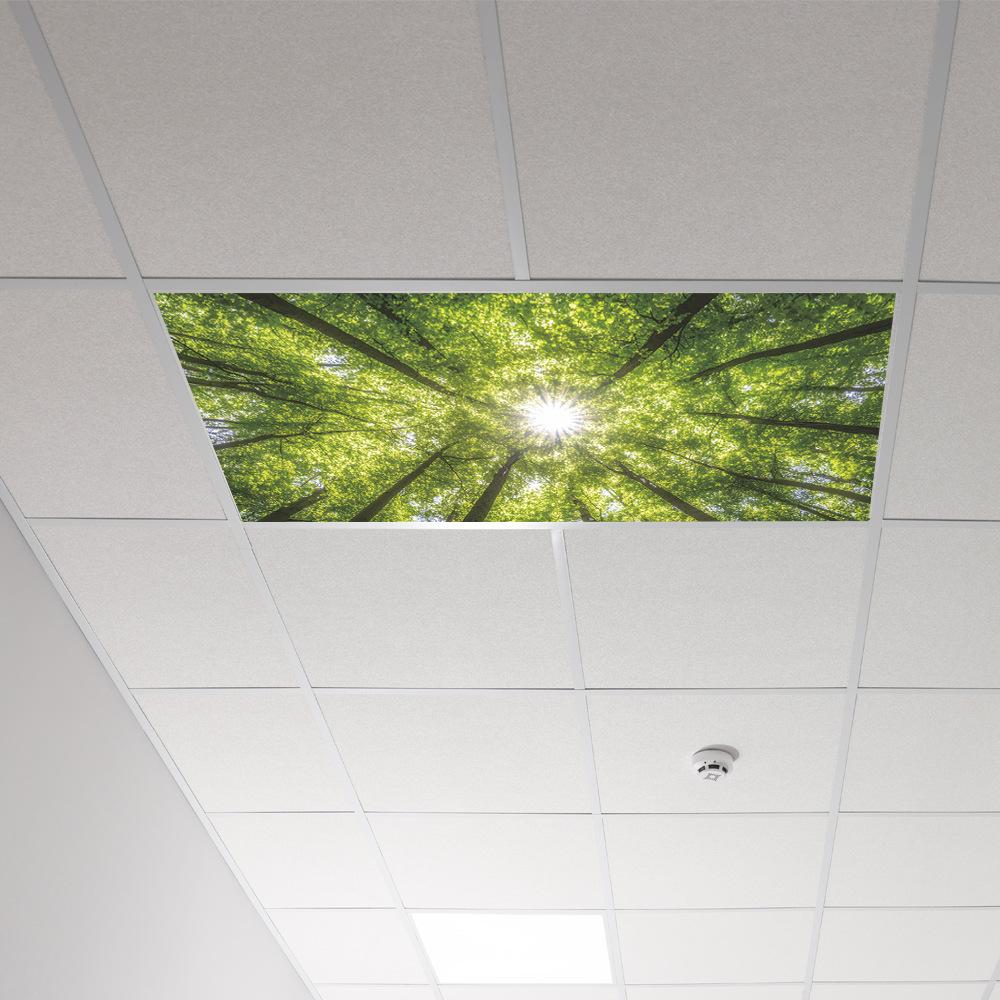 Весеннее Солнце Лес Потолок Крыша Спальня Гостиная Украшение Дома Наклейки