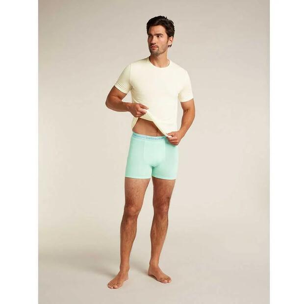 Icebreaker Merino 150 Anatomica Boxer Briefs