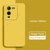 Angel Eyes Square Liquid Silicone Back Cover для VIVO V25 Pro 5G Global Phone Case VIVOV25Pro VIVOV25 V25Pro Soft Shield Armor
