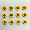 10 шт. овальных пластиковых магнитов на холодильник с изображением подсолнуха для декора кухни и столовой
