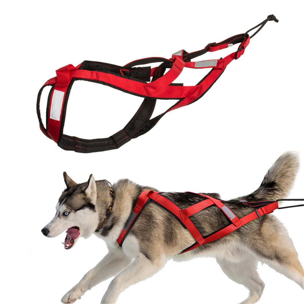 For Harness Pulling Adjustable Dog Large Breeds Reflective Pet Chest Strap For Running Biking And Skiing Outdoor Sports