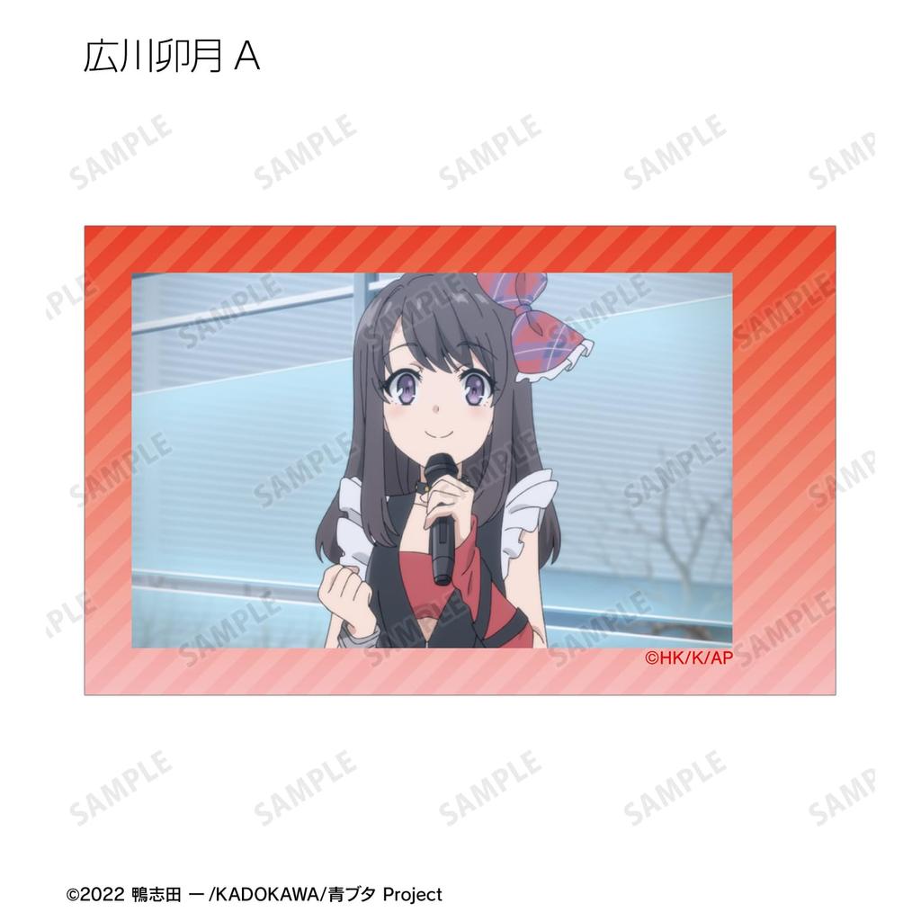 Rascal Does Not Dream of a Dreaming Girl trading instant camera style illustration box of 12 cards,