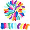 50PCS 12-18cm Goose Feathers Natural Dream Catcher Feathers Wedding Party Handicraft Accessories