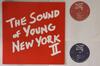 12-дюймовая пластинка VARIOUS  Sound Of Young New York 2 PLANT58441 PLANT MUSIC В 2005 США Танцевальная  Электроника Б/У