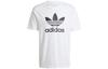 adidas Футболка Adicolor Trefoil IV5353