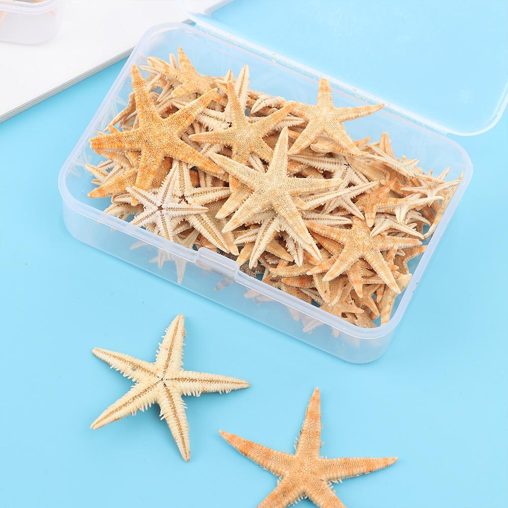 Вечерние свадебные украшения, смешанные морские звезды-натуральные аксессуары ручной работы, океанский декор, ракушки, морские звезды