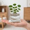 3D Printed Flower Pot Multifunctional Flower Vase Modern Decorative Planter Vase  Small Houseplants
