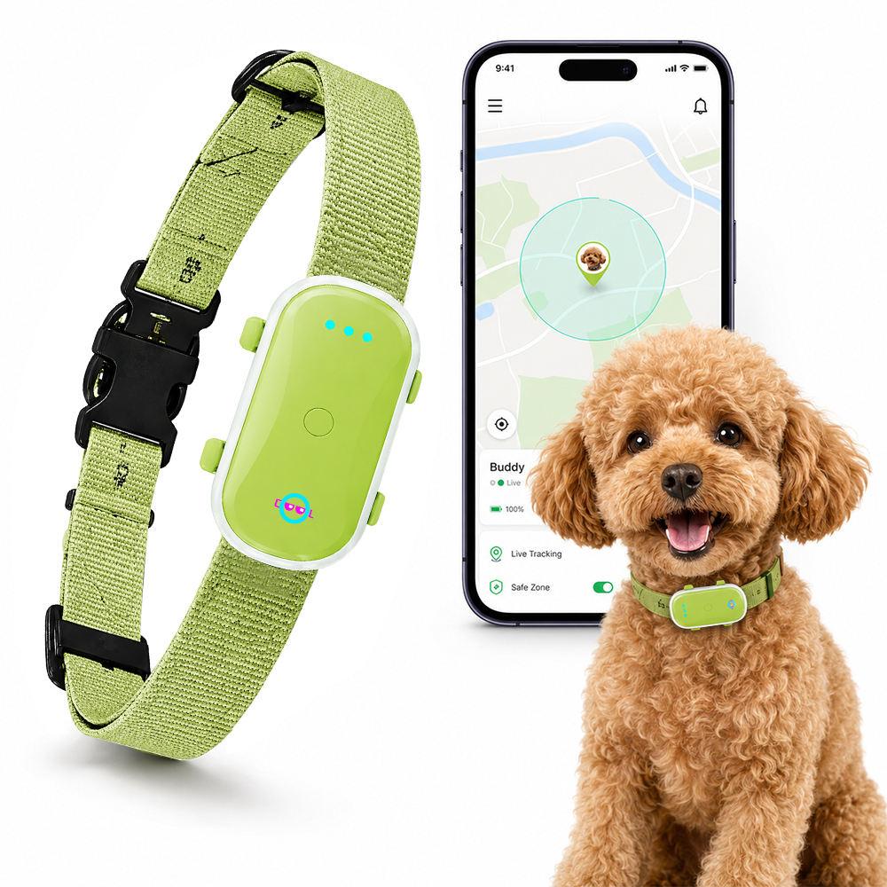Device Sharing Cloud Management Multi Language App Low MOQ Bulk Supply Smart Tracker Collar Rastreador Para Mascotas