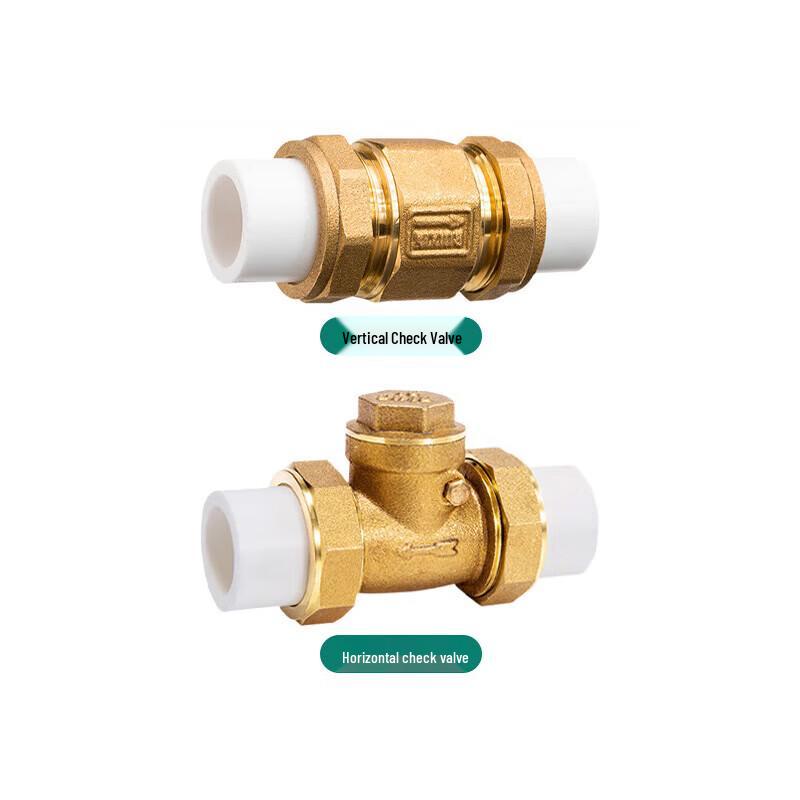 PPR Brass Hot-Melt Horizontal Check Valve