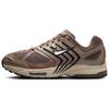 Air Pegasus 2K5 Mink Brown женские кроссовки Chrome Ironstone Sanddrift HQ5725-200