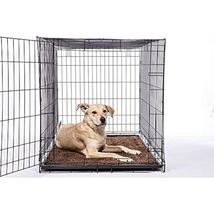 Paillasson - DOG GONE SMART - Dirty Dog - Lavable en machine - Microfibre - Absorption 3000 GSM