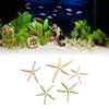 Fish Tank Starfish Decor Unique Beautiful Starfish Ornament Set for Home Aquarium DIY Photo Frame