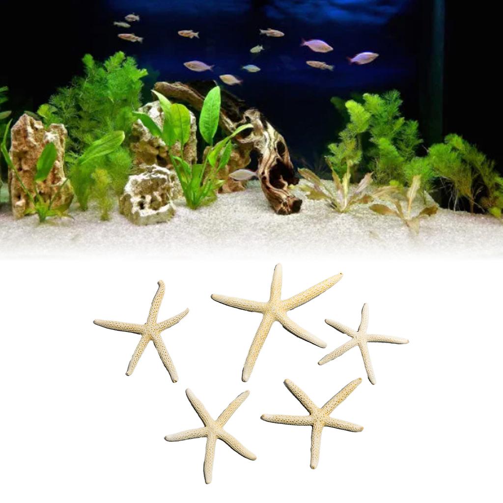 Fish Tank Starfish Decor Unique Beautiful Starfish Ornament Set for Home Aquarium DIY Photo Frame