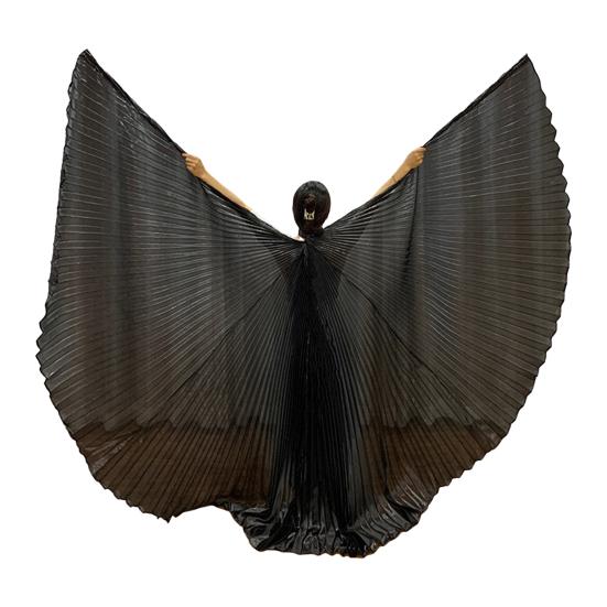 1 Set Performance Telescopic Rod 360 Wings Egyptian Degree Belly Dance Cape with Costume Pleated Bright