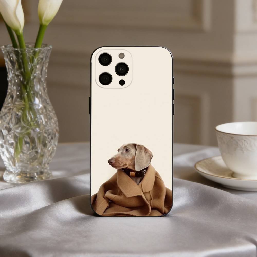 F-Смешной Модный D-Собачий Арт Чехол Для Телефона Для iPhone 17pro,16,15,14,13,12,11 Plus,Pro Max,XS,Мягкий Силиконовый Черный Чехол