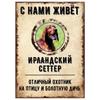 ОСТОРОЖНО СОБАКА Забавная Шнауцер Металлическая Табличка Декор для Питомца 20x30см