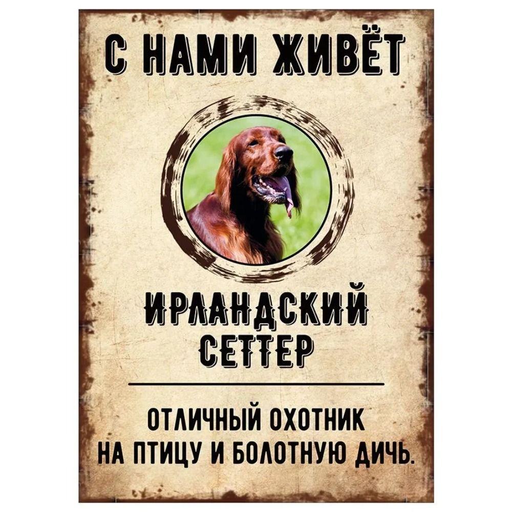 ОСТОРОЖНО СОБАКА Забавная Шнауцер Металлическая Табличка Декор для Питомца 20x30см