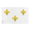 Drapeau - Royaliste - 120 X 180 Cm - Polyester - Impression Recto/verso - Œillets En Fer