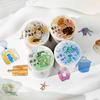 50mm * 2m Life Sketching Series Ins Style Die Cutting and Paper Tape Creative Handbook DIY Scrapbook Material Stationery Sticker