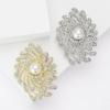 Fashion Pearl Rhinestone Fireworks Brooch Elegant Luxury Ladies Clothing Accessories Brooch Pin Gift