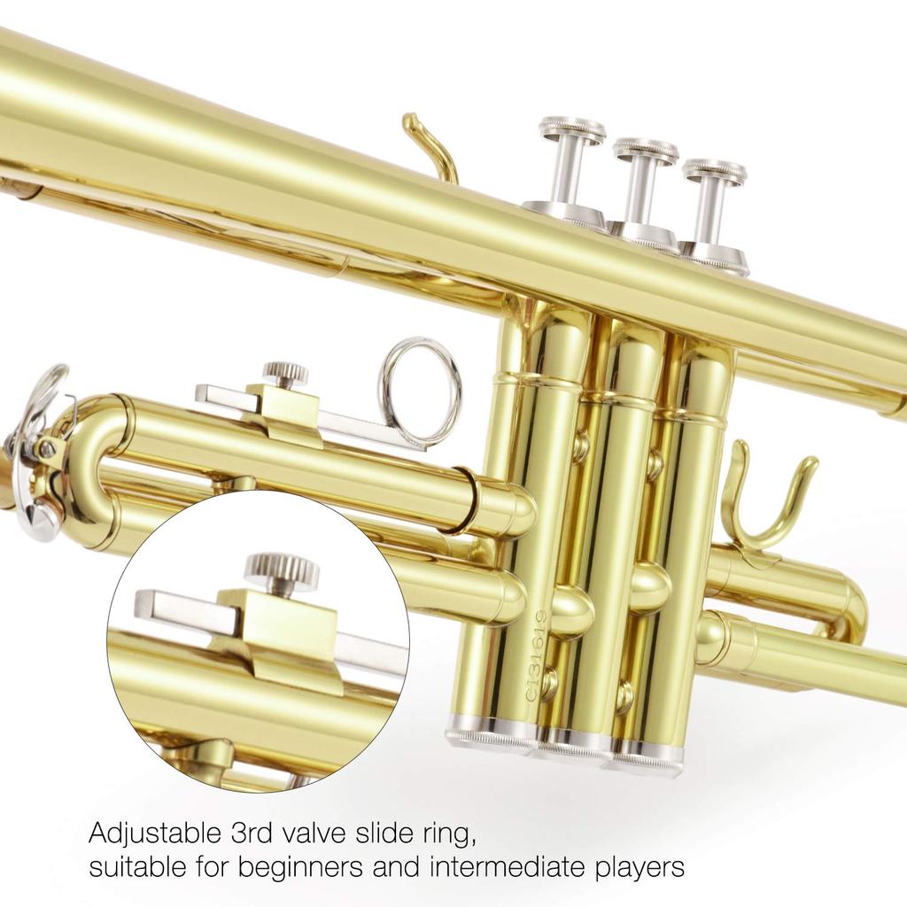 Труба Eastar Bb Tone для начинающих с чистыми аксессуарами для начинающих школьников и взрослых (Золотая латунь)