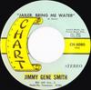 7-дюймовая пластинка ДЖИММИ ДЖИН СМИТ - Тюремщик, принеси мне воды CH5080 Chart Records 1970 США Фолк Б/У
