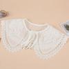 Korean Women Lace Fake Collar Shawl Wrap Embroidery Shirt Detachable Collars Removable Blouse Doll False Collar Decorative