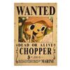 1 Piece Anime Luffy Gear 5 Bounty Wanted Posters Nika Zoro Ace Shanks Straw Hat Pirates Home Decor Craft Paper