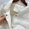 Зима-Осень женская свободная мягкая однотонная куртка на молнии с воротником-стойкой, универсальное теплое белое пальто на утином пуху