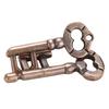 1 Pcs Alloy Key Ring Puzzle Brain Tester Iq Test Kids Adults Intelligent Toys