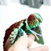 3D Printed Parrot Model Flexible Animal Statue Bird With Wings Moveable Joints Home Decoration Autism Adhd Fun Toys Holiday Gift
