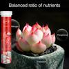 22Pcs/Bottle Phytonutrients Plant Nutrition Slow-release Balanced Nutrient Elements Fruits Vegetables Flowers Phytonutrients for Healthy Growth