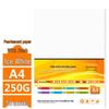 Xinfa 250 г/м² A4 Ледяной Белый Жемчужная Художественная Бумага